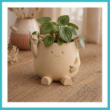 Defne Store 3D Baskı Smiley Face Planter - Gülümseyen Karakterli Saksı-Bej Dfnbez
