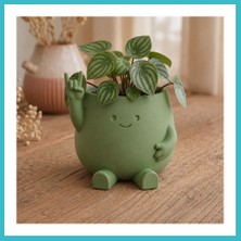 Defne Store 3D Baskı Smiley Face Planter - Gülümseyen Karakterli Saksı-Yeşil Dfnbez