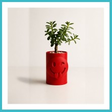 Defne Store 3D Baskı Emoji Planter - Göz Kırpan Yüzlü Sukulent Saksısı-Kırmızı Dfnbez