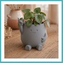 Defne Store 3D Baskı Smiley Face Planter - Gülümseyen Karakterli Saksı-Gri Dfnbez