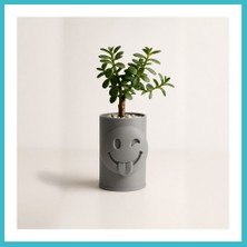 Defne Store 3D Baskı Emoji Planter - Göz Kırpan Yüzlü Sukulent Saksısı-Gri Dfnbez