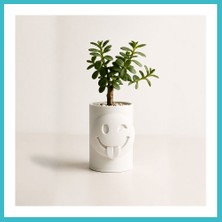 Defne Store 3D Baskı Emoji Planter - Göz Kırpan Yüzlü Sukulent Saksısı-Beyaz Dfnbez
