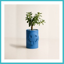 Defne Store 3D Baskı Emoji Planter - Göz Kırpan Yüzlü Sukulent Saksısı-Mavi Dfnbez