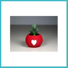 Defne Store 3D Baskı Kalpli Mini Saksı - Kırmızı Beyaz Dekoratif Saksı Dfnbez