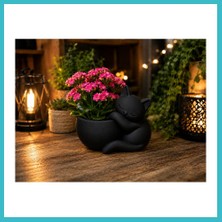 Defne Store 3D Baskı Sarılan Kedi Saksı - Sevimli Dekoratif Saksı - Siyah Dfnbez