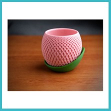 Defne Store 3D Baskı Küre Saksı - Kafes Dokulu Iki Parçalı Dekoratif Saksı - Pembe-Yeşil Dfnbez