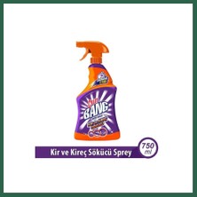 Vintessy Vıntessy Sprey Kireç ve Kir 750ML 1 Adet BZS01
