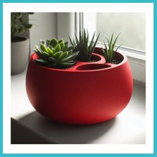 Defne Store 3D Baskı 3lü Sukulent Saksısı ve Kalemlik Organizer - Dekoratif Masaüstü Bitki Saksısı-Kırmızı Dfnbez