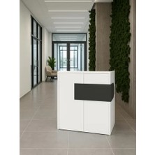 Vivense Aloha LED Işıklı Karşılama Bankosu, Beyaz Antrasit, 110 cm