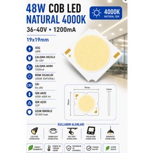 Lekoled 48W Cob LED Natural 4000K 19X19MM 36-40V 1200MA 10 Adet