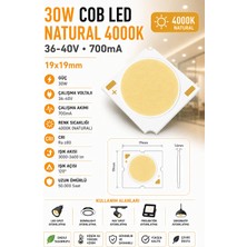 Lekoled 30W Cob LED Natural 4000K 19X19MM 36-40V 700MA  10 Adet