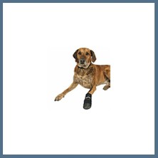 Bezos Neopren Köpek Patiği 2 Adet Siyah Xxxl Bbz