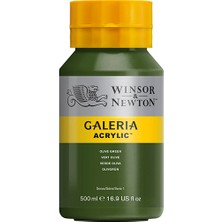 Winsor & Newton Galeria Akrilik Boya 500ml Olive Green 447