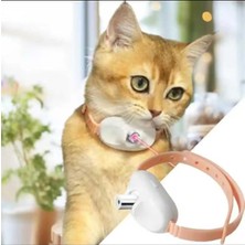 Madpet USB Başlıklı Şarjlı Lazerli Kedi Egzersiz Tasma Oyuncağı Interaktif Lazer Oyuncak