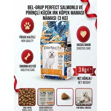 Perfect Yetişkin Somonlu 3 kg Köpek Maması Az Tahıllı Mini Irklar İçin Süper Premium