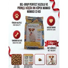Perfect Az Tahıllı Mini Irklar Için 3 kg Kuzu Etli Pirinçli Köpek Maması