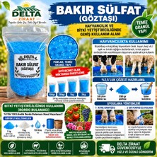 Delta Ziraat Bakır Sülfat (Göztaşı) 100 gr 250 gr 1 kg 3 kg