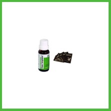 Bezos Cabs Green Temptation D9 Kadın + 5li Pboy Lubricant Jel Arz