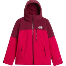 The North Face W Freedom Insulated Jacket