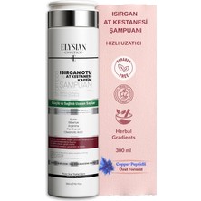 Str Store Isırgan Otu & At Kestanesi & Kafein Şampuanı | Copper Peptidli Hızlı Saç Uzatma Uzatan Etkili 300 ml