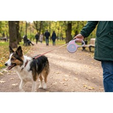 ALMITAL 3 Metre Makaralı Otomatik Kedi ve Köpek Gezdirme Tasması (Pembe)