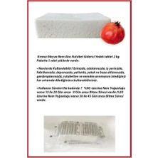 Tr 2 Kg. Nem Alıcı Yedek Tablet Kırmızı Meyva