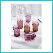 Defne Store Akrilik Mürdüm 6'lı Kısa Bardak & Su Meşrubat Kahve Yanı Bardağı 400 ml ( Cam Değildir ) Dfnbez