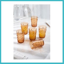 Defne Store Akrilik Bal 6'lı Kısa Bardak & Su Meşrubat Kahve Yanı Bardağı 400 ml ( Cam Değildir ) Dfnbez