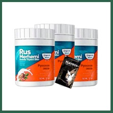 Vintessy Vıntessy Playboy Turquoise Tüylere Krem 3 Adet Ceviz & Ceviz Sütü Rus Merhemi 50 ml + Yanında Jel BZS01