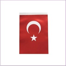 İnter Inter B-007 Türk Bayrağı 80X120