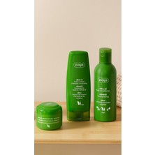 Teknocan Marketing Saç Kremi, Doğal Zeytin Yenileyici, 200 ml
