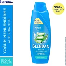 Teknocan Marketing Yoğun Nemlendirme Aloe Vera Özlü Şampuan, 500 ml
