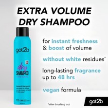 Teknocan Marketing Schwarzkopf Fresh It Up Volume Kuru Şampuan 200 ml