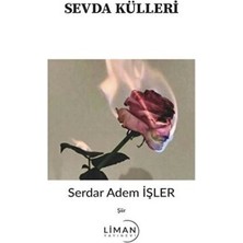 TeknoKapsül Sevda Külleri