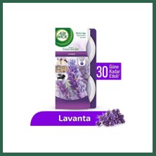 Vintessy Vıntessy Stick Up Lavanta 2*30GR 1 Adet BZS01