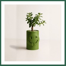 Vintessy Vıntessy 3D Baskı Emoji Planter - Göz Kırpan Yüzlü Sukulent Saksısı-Yeşil BZS01