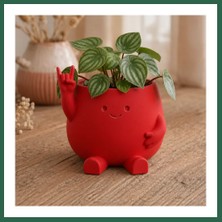 Vintessy Vıntessy 3D Baskı Smiley Face Planter - Gülümseyen Karakterli Saksı-Kırmızı BZS01
