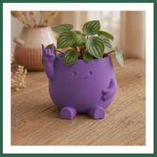 Vintessy Vıntessy 3D Baskı Smiley Face Planter - Gülümseyen Karakterli Saksı-Mor BZS01
