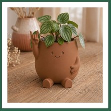 Vintessy Vıntessy 3D Baskı Smiley Face Planter - Gülümseyen Karakterli Saksı-Kahverengi BZS01