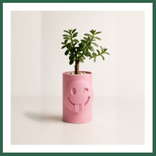 Vintessy Vıntessy 3D Baskı Emoji Planter - Göz Kırpan Yüzlü Sukulent Saksısı-Pembe BZS01