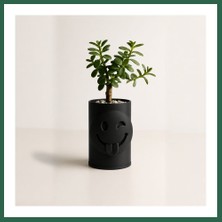 Vintessy Vıntessy 3D Baskı Emoji Planter - Göz Kırpan Yüzlü Sukulent Saksısı-Siyah BZS01