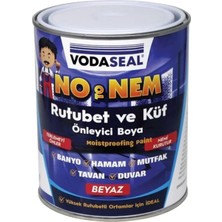 Tr No Nem Rutubet Küf Terleme Önleyici Boya 1 kg
