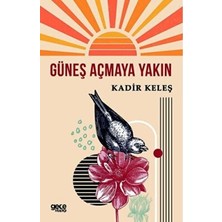 TeknoKapsül Güneş Açmaya Yakın