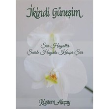 TeknoKapsül Ikindi Güneşim