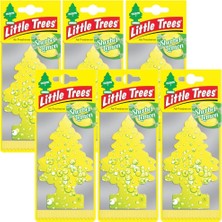 Tr Asma Koku Limon Şerbeti 6'li