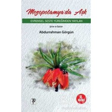 TeknoKapsül Mezopotamya`da Aşk