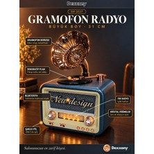 Dexxony DX-2527 Mavi Nostaljik Radyo Gramofon Görünümlü Büyük Boy Şarjlı Bluetooth Hoparlör