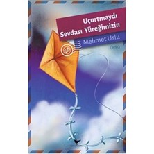 TeknoKapsül Uçurtmaydı Sevdası Yüreğimizin