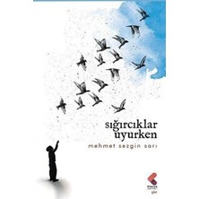 TeknoKapsül Sığırcıklar Uyurken