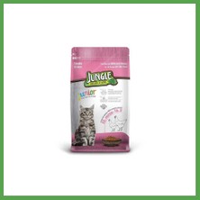 Bezos Yavru Kedi Maması Tavuklu 1,5 kg 1 Adet Mgc